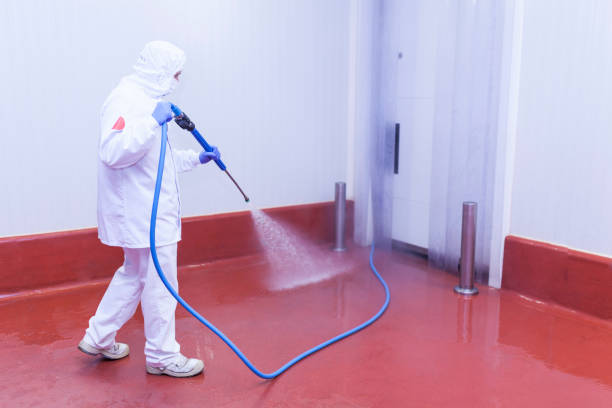 Best Graffiti Removal  in , ID